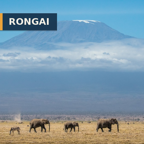 Rongai Route